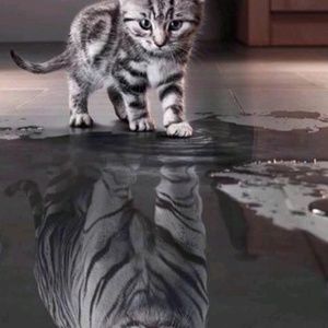 Meet your Posher, Martha